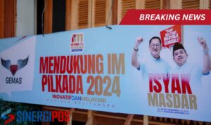 IMG-20241105-WA0052